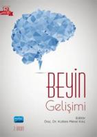 Beyin Gelişimi