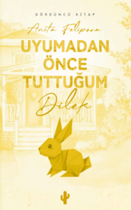 Uyumadan Önce Tuttuğum Dilek 4