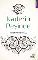 Kaderin Peşinde Kaderin Peşinde
