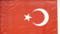 Türk Bayrağı (40 adet Dizili)