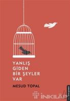 Yanlış Giden Bir Şeyler Var