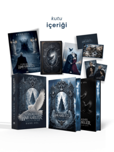 Yozlaşmış Harabeler 2: Yansımalar Çağı - Tek Kitaplık Yan Boyamalı Kutu
