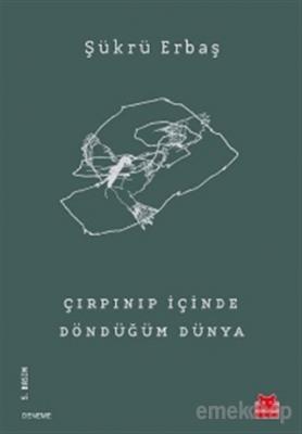 Çırpınıp İçinde Döndüğüm Dünya