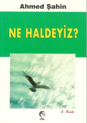 Ne Haldeyiz Ahmed Şahin